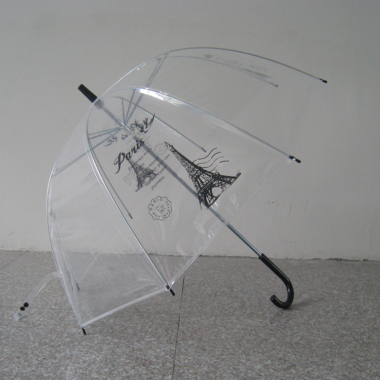 Apolo translucent umbrella